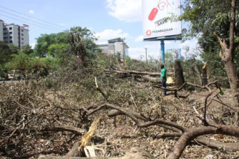 Власти Найроби накажут оператора, вырезавшего деревья в городском парке ради видимости билбордов