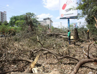 Власти Найроби накажут оператора, вырезавшего деревья в городском парке ради видимости билбордов
