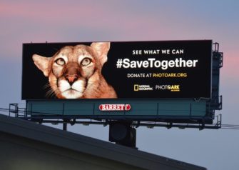 Фонд исследований в области рекламы: «Увеличиваем воздействие OOH до предела»