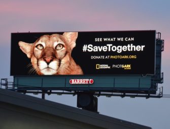 Фонд исследований в области рекламы: «Увеличиваем воздействие OOH до предела»