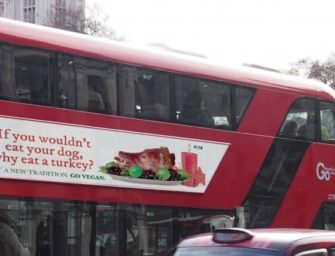 PETA запретили рекламировать отрубленную голову собаки