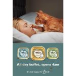 Lily's-Kitchen-billboard