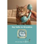 Lily's-Kitchen-billboard