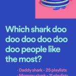 Spotify-2018-wrapped