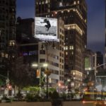 Shot-on-iPhone-on-Tour