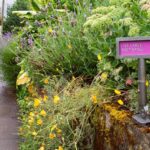 Portland-tiny-billboard