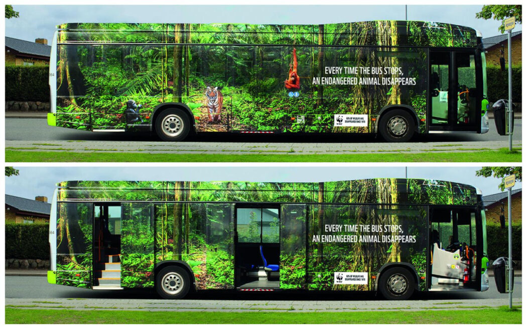 WWF bus