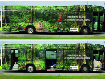 WWF рассказал о скорости исчезновения животных с помощью автобуса