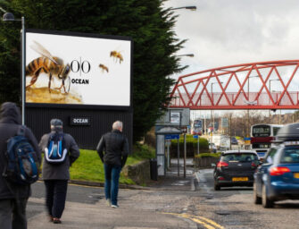 Ocean Outdoor облаштовує в рекламних локаціях екологічні коридори