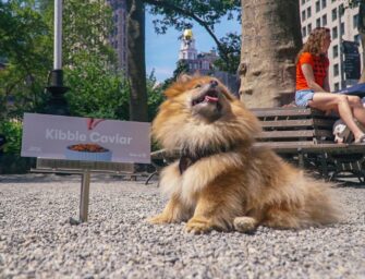 Виробник холістік-кормів Jinx розповів про співпрацю з Target в OOH-кампанії, що таргетована на собак