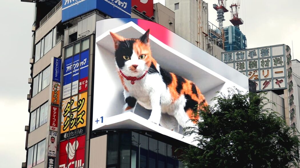 Shinjuku cat