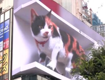 Ослабление карантина подстегнуло креативность в OOH-рекламе