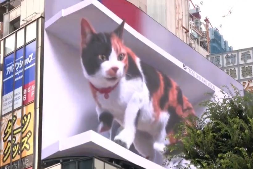 Tokyo 3D cat